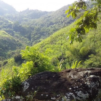 Création Communauté Colombie, Sagesses des Peuples Premiers (94)