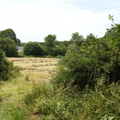 Terrain Agricole Ouvert à la Nouveauté (22)