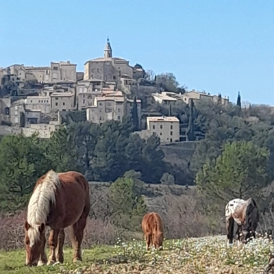 Echange Logement Caravane contre Aide à la Ferme (84)