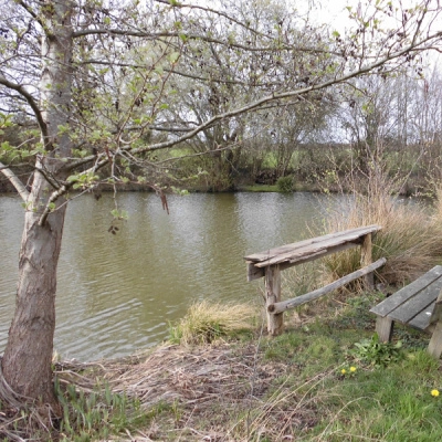 Belle Maison de 850 m² sur 9ha de Terrain (Forêt, Verger, Étang) (78)