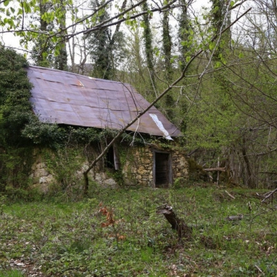 Vivre dans les Bois (09)