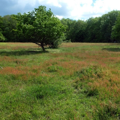 Habitat Participatif en Normandie-Bardouville (76)