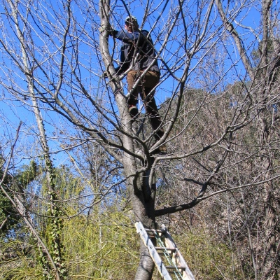 Cherchons Adeptes de Vie Alternative Rustique dans la Nature (66)