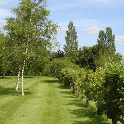 Longère Rénovee sur 1 Hectare avec Étang (41)