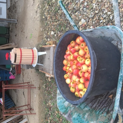 Pressoir à pommes cherche quelques cohabitants (41)