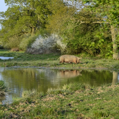 Projet biodiversité et agrotourisme - cherche porteurs de projet (79)