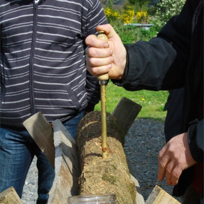 Atelier: Culture de Champignons sur Bûche (22)