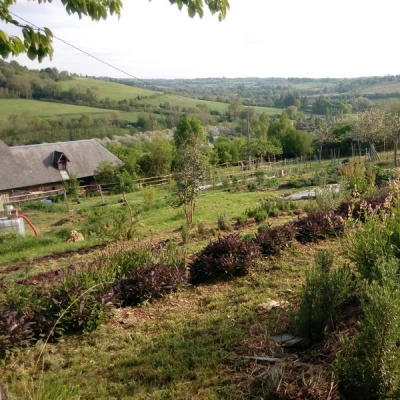 Corps de Ferme a Vendre 1 Maison 2 Granges 3. 5ha Verger Source (14)