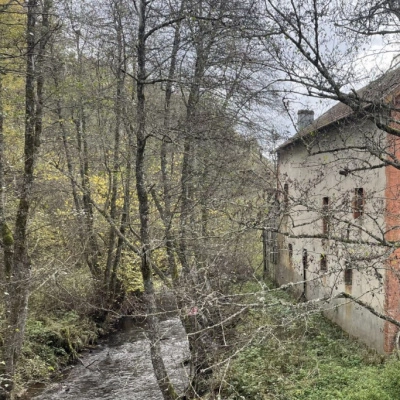 Projet de Collectif Créatif dans le Nord du Massif Central (63)