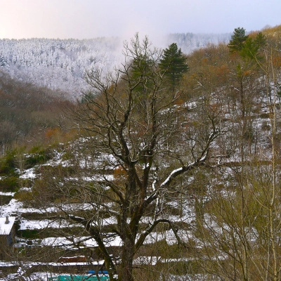 Hameau sur 23 ha, Lieu Exceptionnel, Écrin Préservé (11)