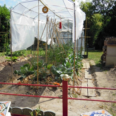 Mise en Place d'un Jardin en Permaculture (37)