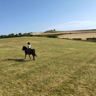 Magnifique Site sur 20 ha Près de Montcuq 46800 (46)