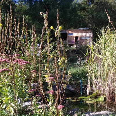 Cherche nouveaux ou Nouvelles au Jardin Forêt (46)