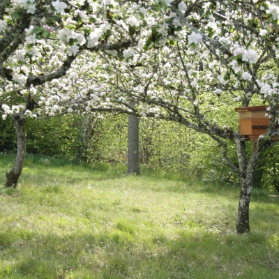 Chambre à Louer sur une Microferme en Cours de Création (89)