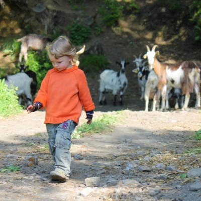 Petite Ferme Caprine (30)