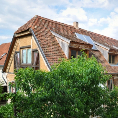 Chambre à Louer dans Maison Organique (67)