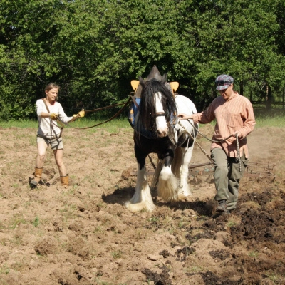 Chambre à louer sur une microferme en création