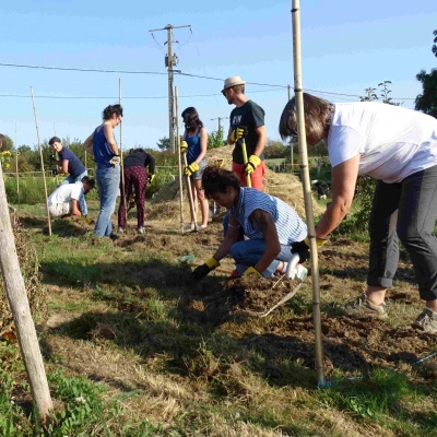 Formation "La pépinière agroécologique" (44)