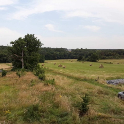 Vente Maison au Sein de l'Écolieu la Davière (37)