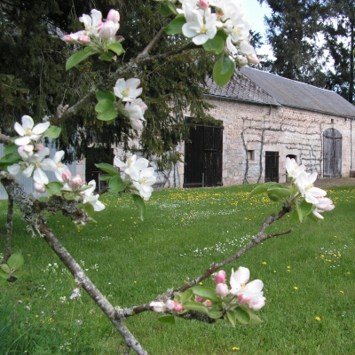 Recherche associé-e/partenaire en agroforesterie (23)