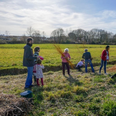 Parcelles Viabilisées dans un Écolotissement