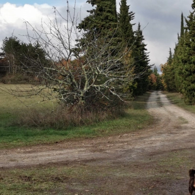 Magnifique Site sur 20 ha Près de Montcuq 46800 (46)