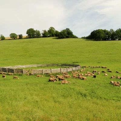 Ecohameau les 3 Sources Sud Aveyron (12)