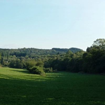 Roulotte et Terres à Cultiver contre Entretien Sérieux (39)