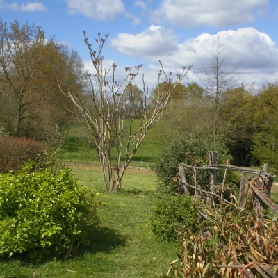 Belle Maison de 850 m² sur 9ha de Terrain (Forêt, Verger, Étang) (78)