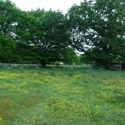 Habitat Participatif en Normandie-Bardouville (76)