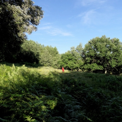 Hameau Léger de Laugères (07)