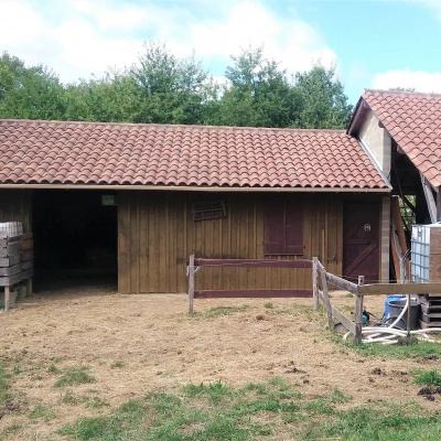 Vente Maison + Gîte Bois + Écurie sur Terrain 17000 m² (24)