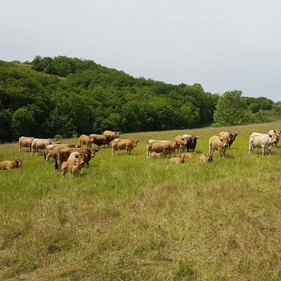 Ferme dans le Sud-Aveyron Recherche Associé (12)