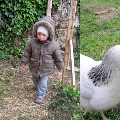 Ferme Expérimentale en Permaculture et Soins Holistiques pour Animaux (30)