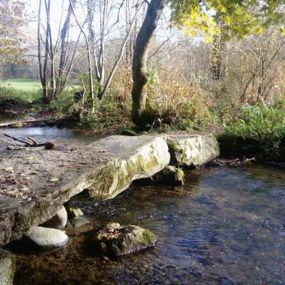 Une Chambre se Libère à Ecobuis (38)