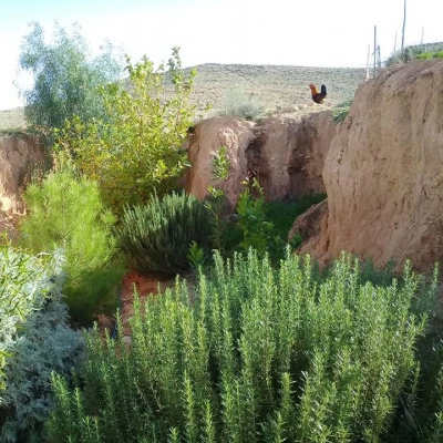 Couple pour Partenariat (oued)