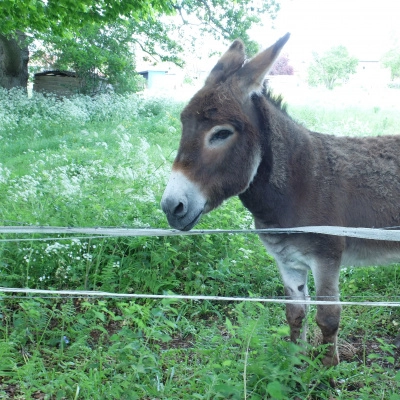 Habitat Participatif en Normandie-Bardouville (76)