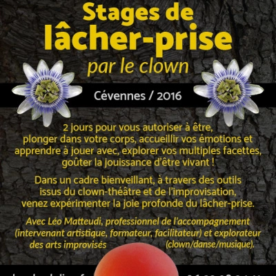 Stage de Lâcher-Prise par le Clown (30)