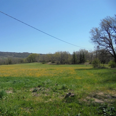 Propriété de 38h , Bati 1000 m² (84)