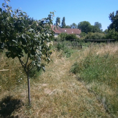 Maison Écologique sur Grand Terrain, Bord de Saone (71)