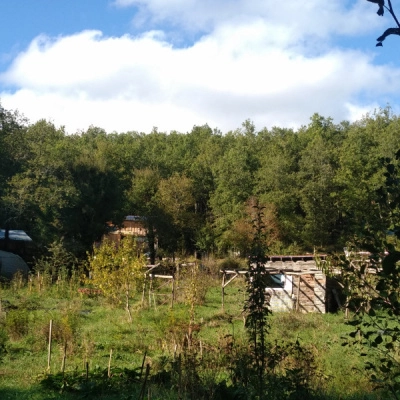 Nouveaux ou Nouvelles au Jardin Forêt (46)