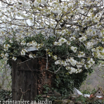 La Maison des Nuages (15)