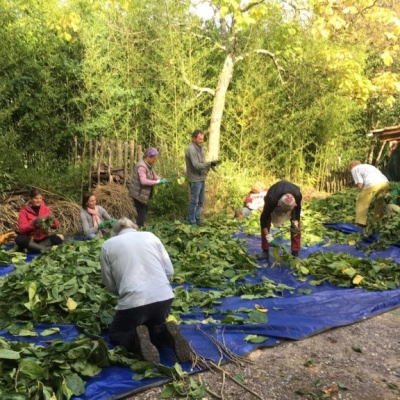 Bienvenue au Hameau des Buis en Sud Ardèche ! (07)