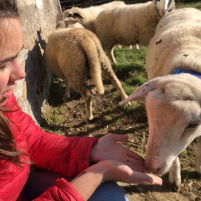 Ecolieu à Céder Clés en Mains (16)