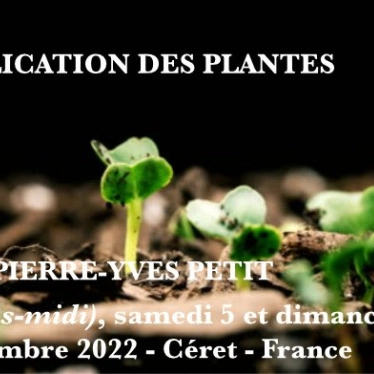 Formation Multiplication des Plantes (66)