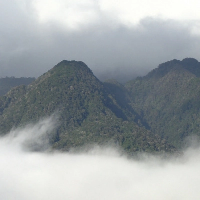 Association Sérieuse pour Projet Existant au Panama (4)