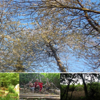 Ecolieu Terre de Choix Terracor (31)