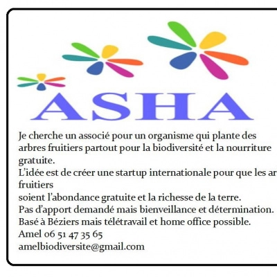 Cherche Associé (34)