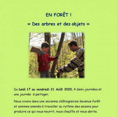 Stages pour Enfants Dès 8 Ans: Travail du Bois en Forêt!! (30)