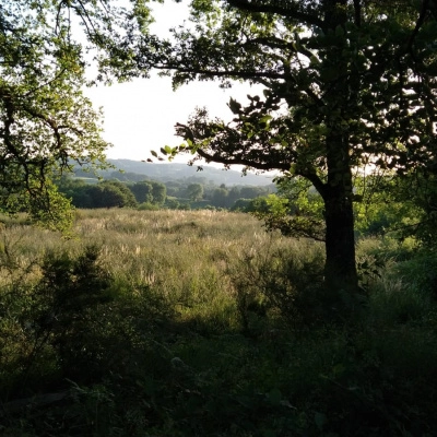 Partage Terrain avec Rivière, Champs et Forets (23)